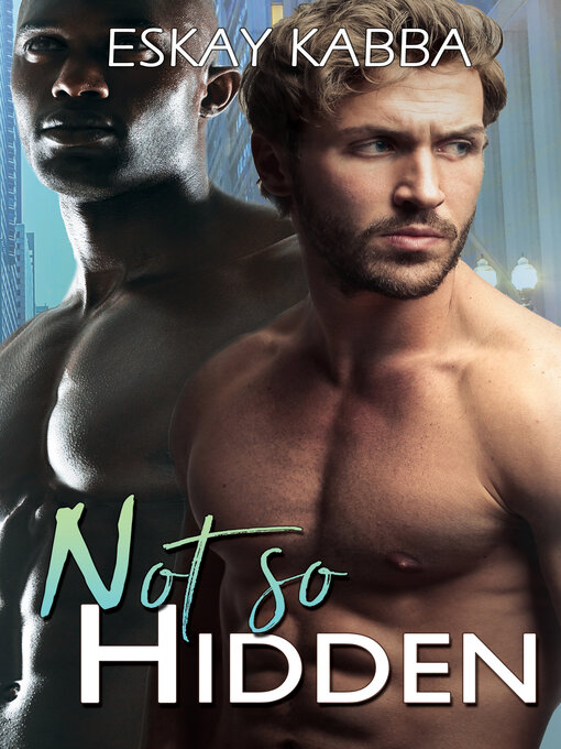 Cover image for Not So Hidden